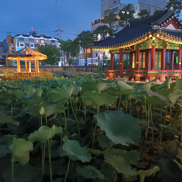 포레스트 아델스튜디오 테라피 대표 안내 이미지