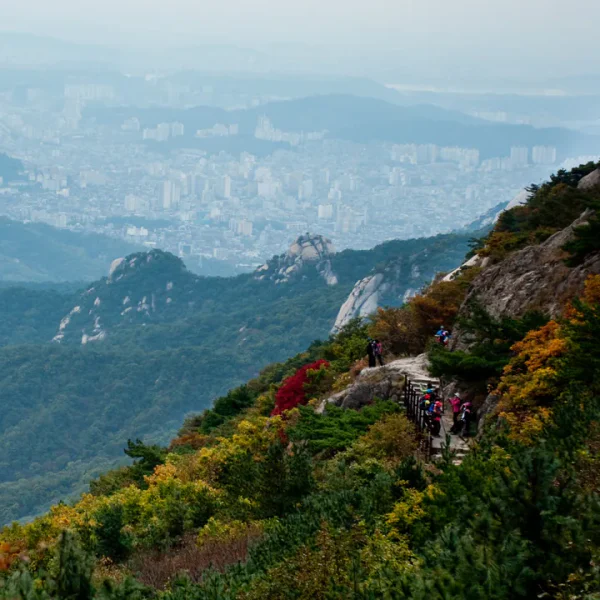 모던 클로이센터 마사지 제휴업체 이미지